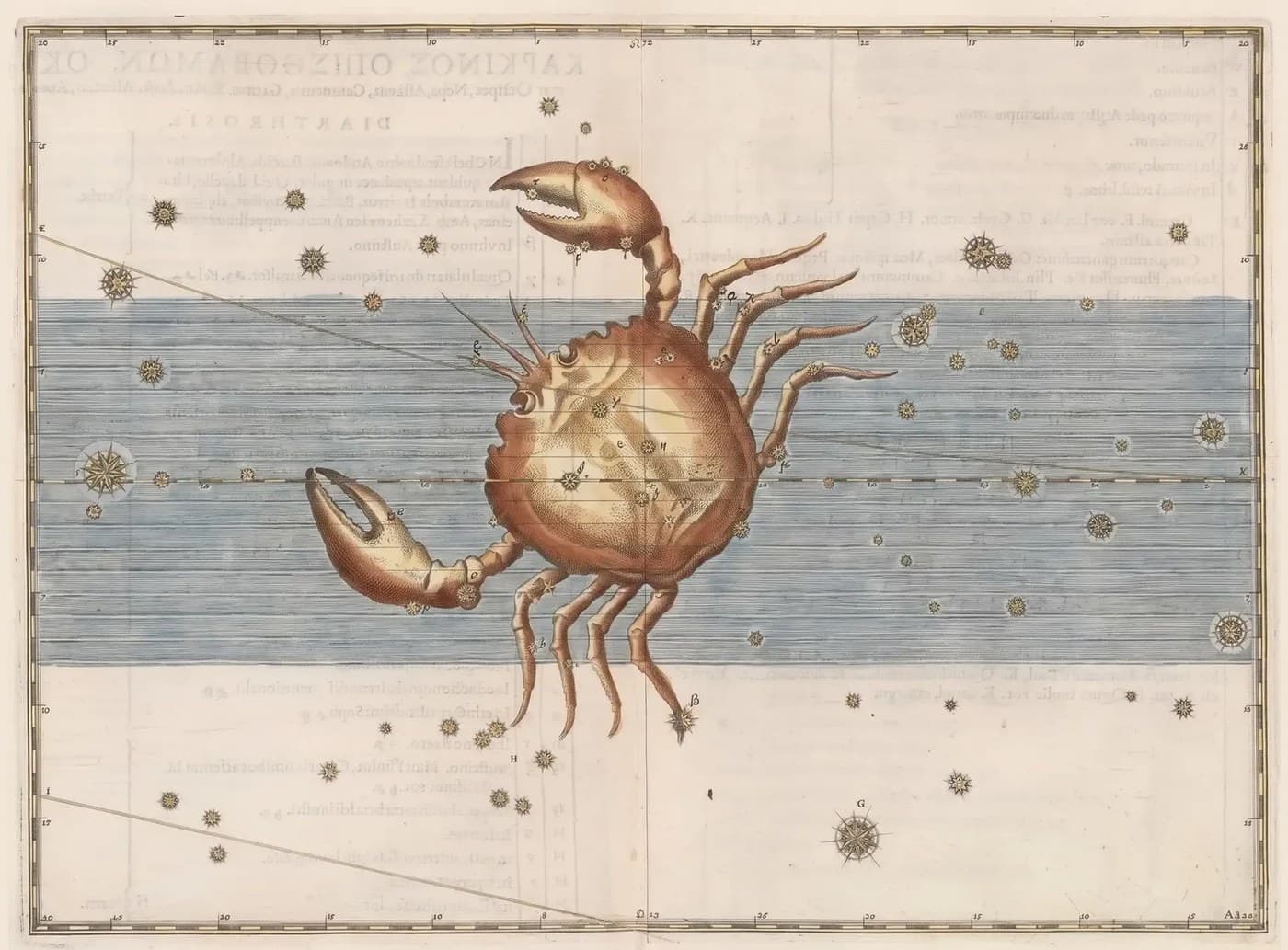 Cancer, the Crab — Illuminated — Celestial oil