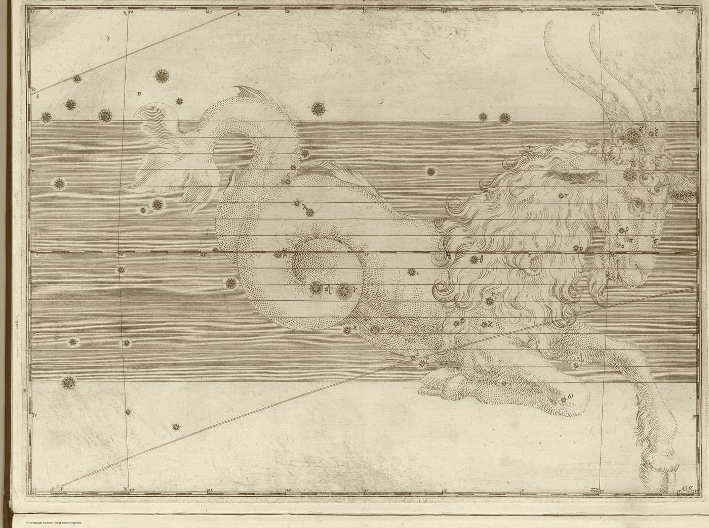Capricorn, the Sea-Goat — Antique Gold — Celestial oil
