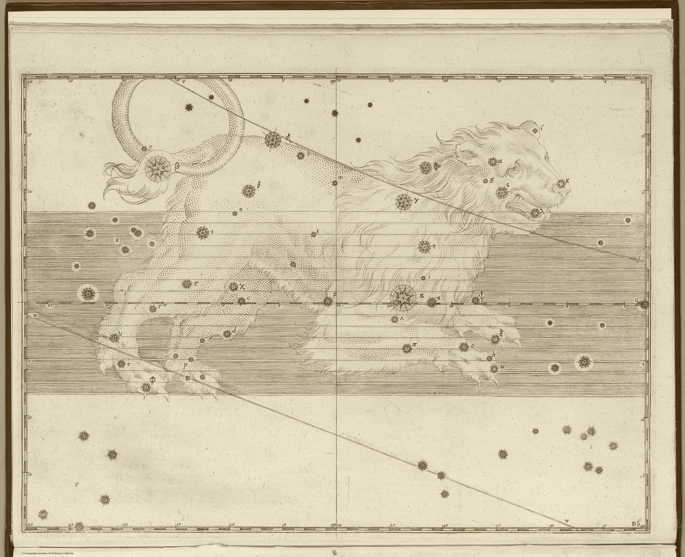 Leo, the Lion — Antique Gold — Celestial oil