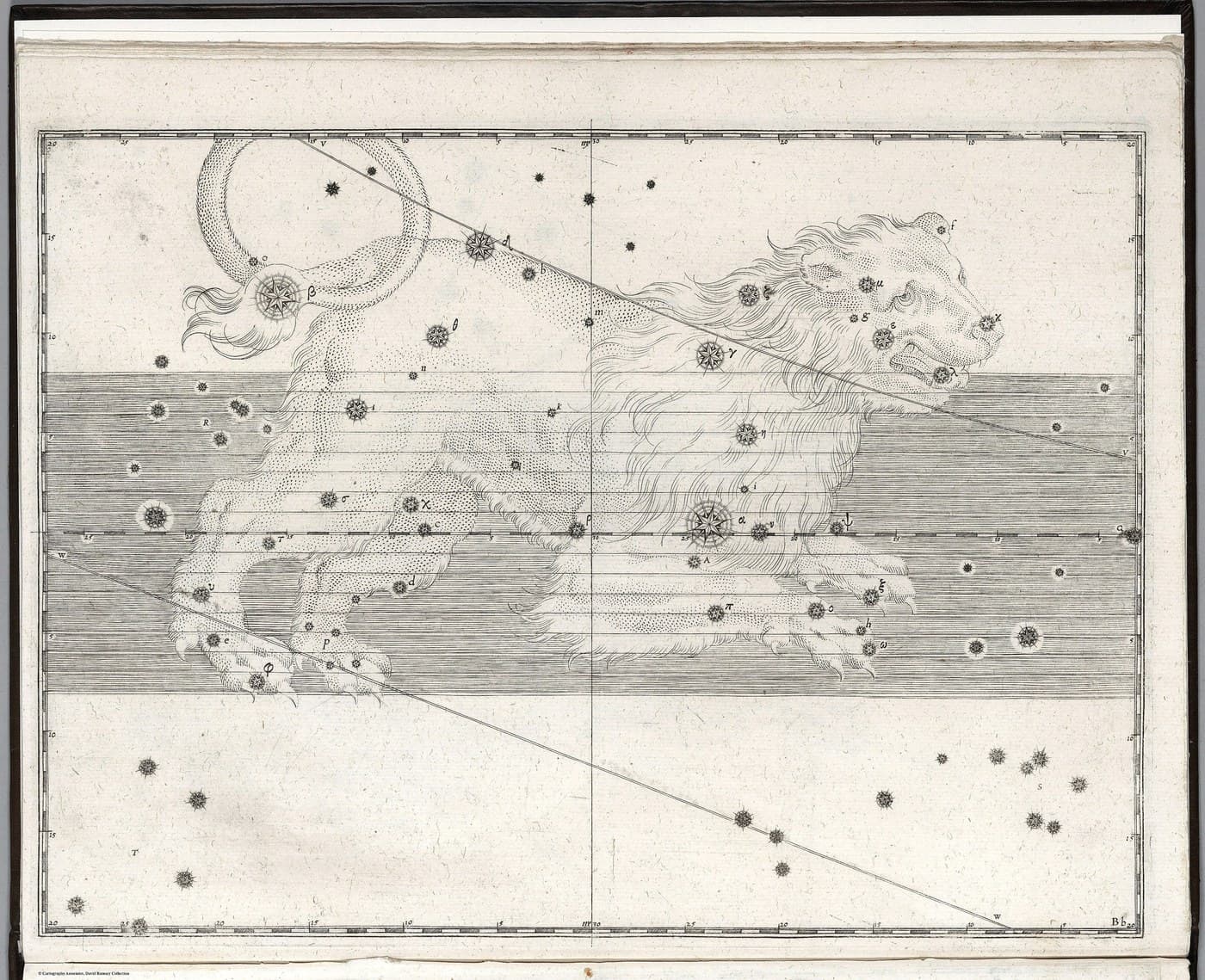 Leo, the Lion — Restored — Celestial oil
