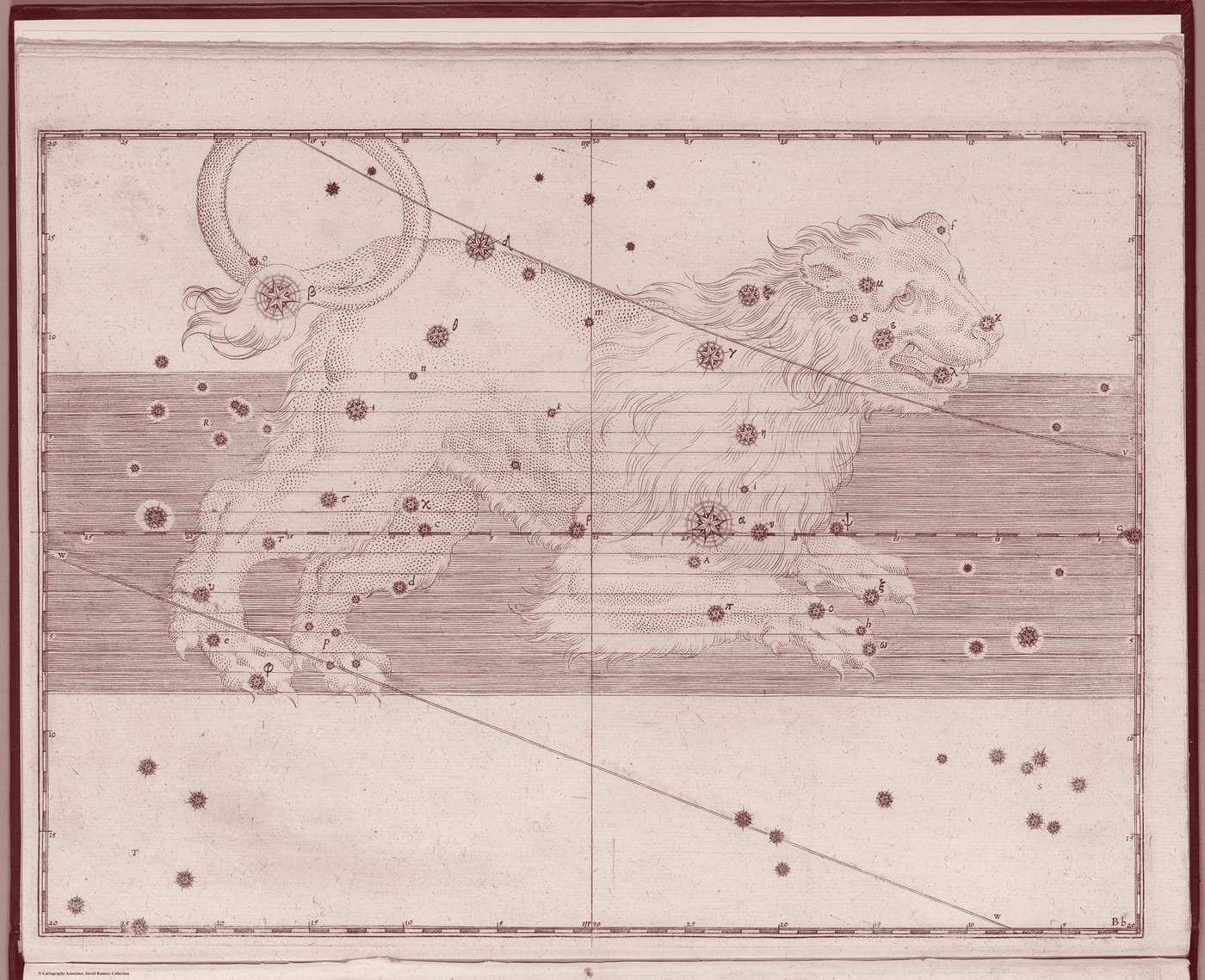 Leo, the Lion — Venetian Red — Celestial oil