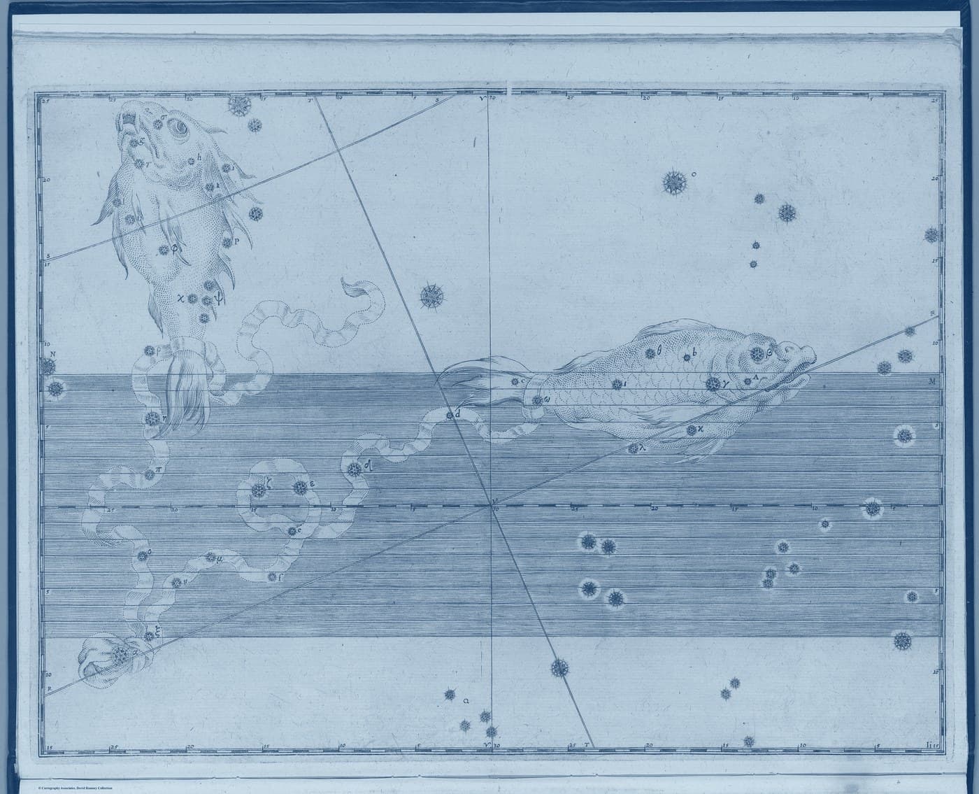 Pisces, the Fishes — Prussian — Celestial oil