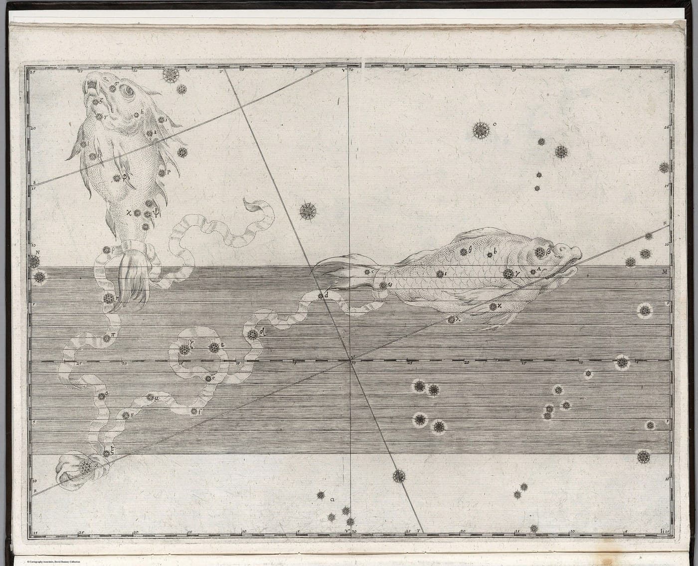 Pisces, the Fishes — Restored — Celestial oil