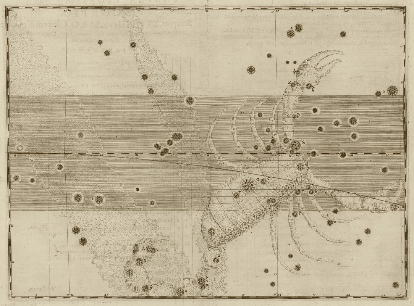 Scorpio, the Scorpion — Antique Gold — Celestial oil