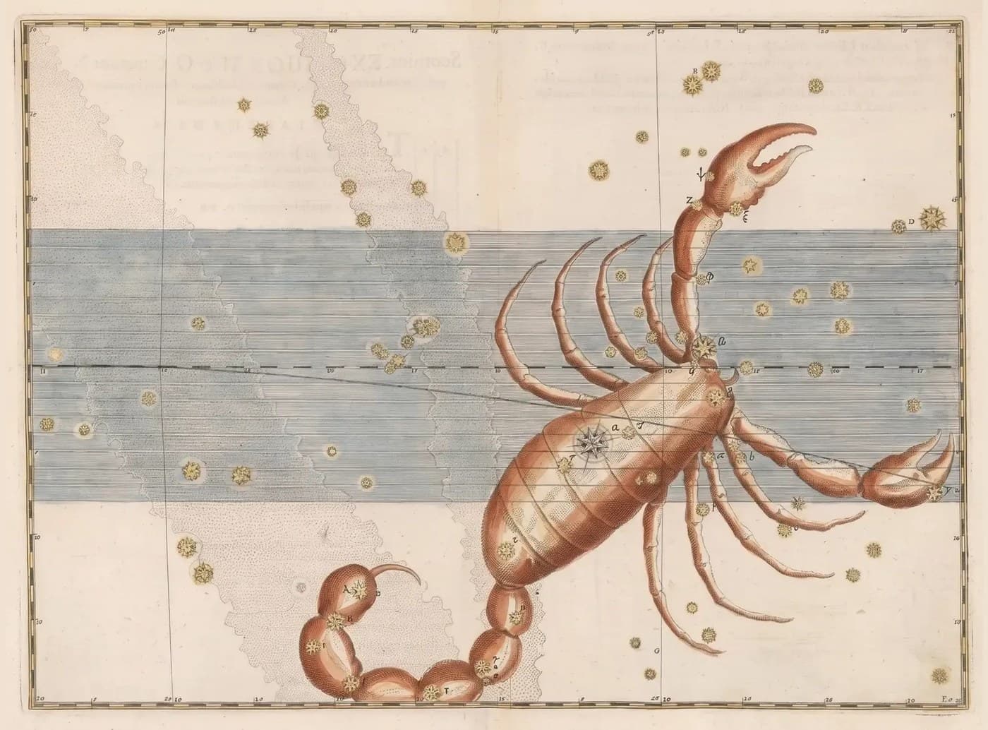 Scorpio, the Scorpion — Illuminated — Celestial oil