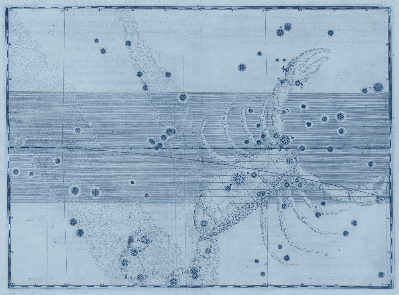 Scorpio, the Scorpion — Prussian — Celestial oil
