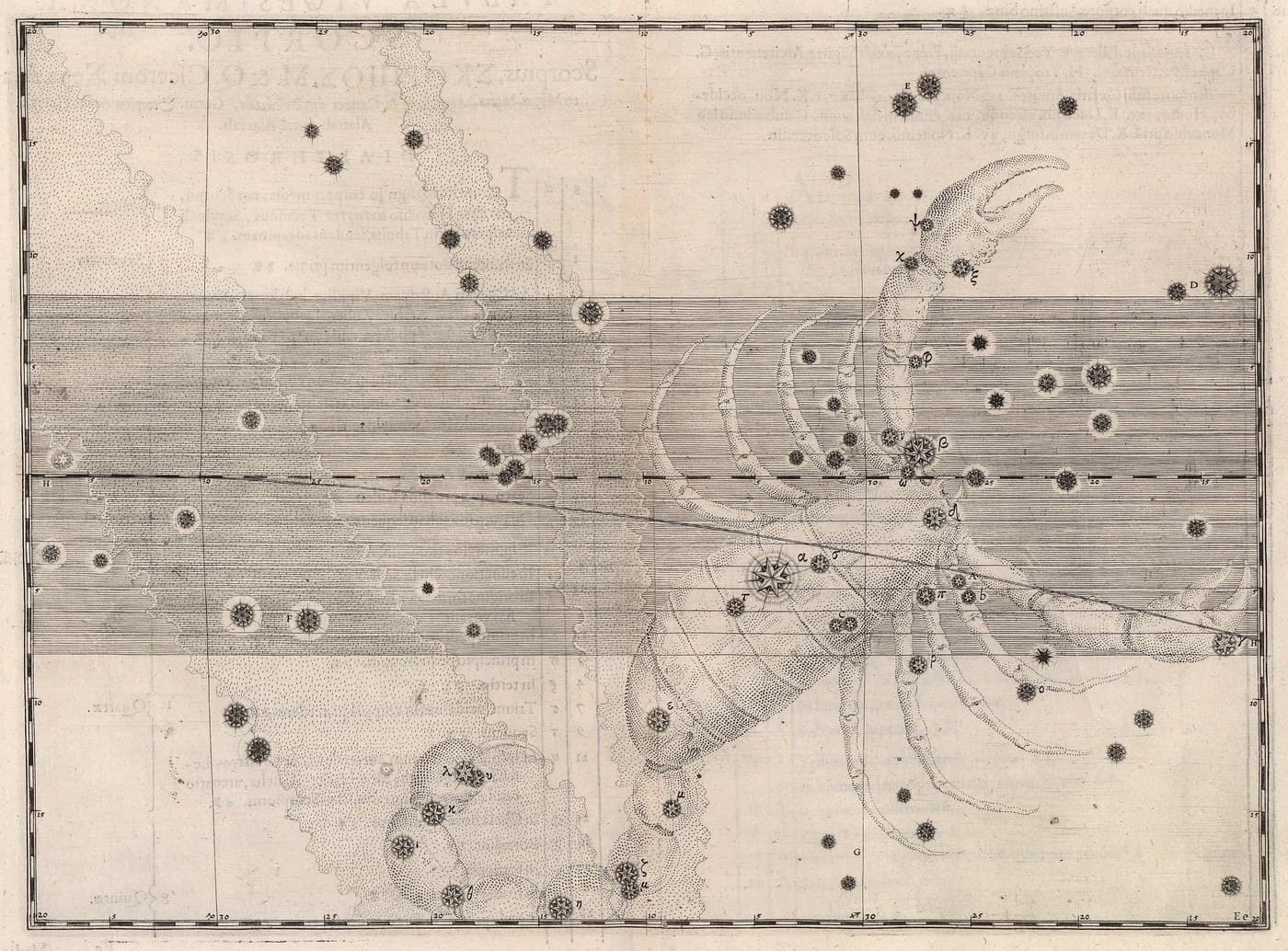Scorpio, the Scorpion — Restored — Celestial oil