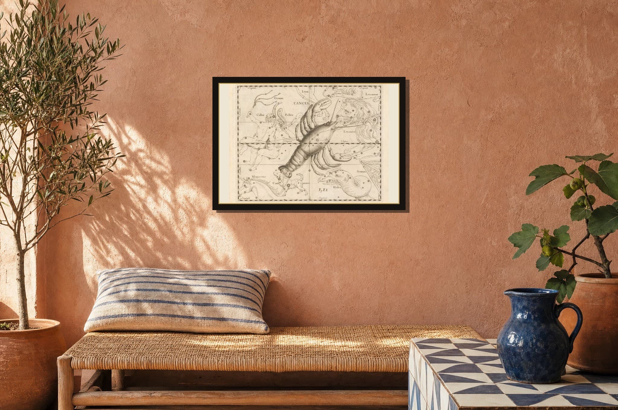 Cancer hanging framed in a room