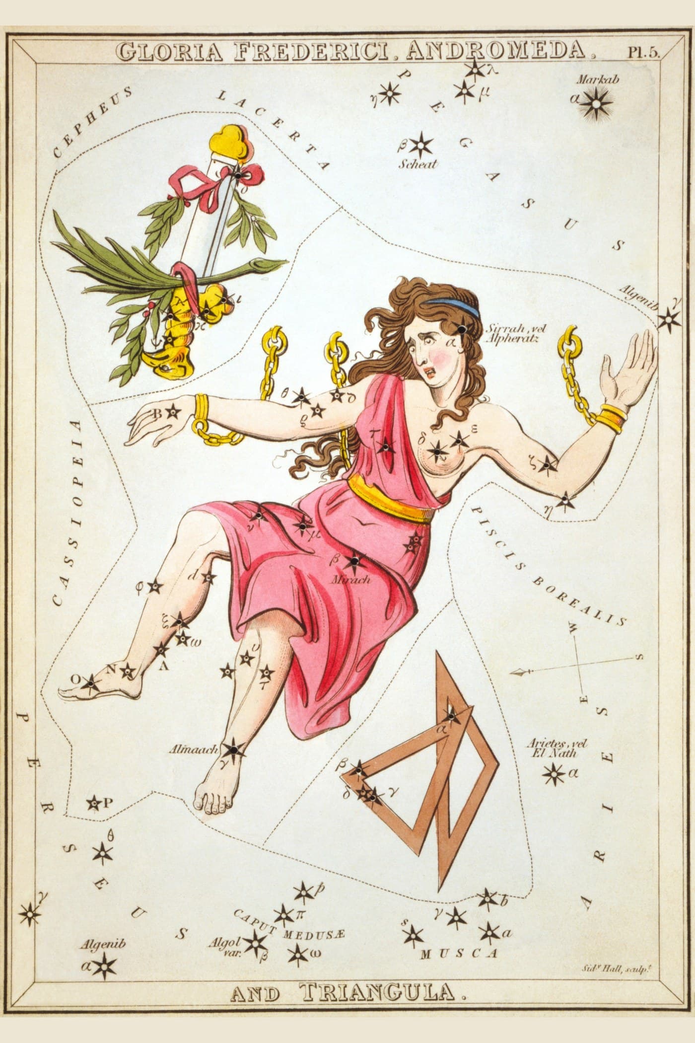 Andromeda